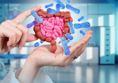 Boosting Your Metabolism After 50: The Power of a Healthy Gut Microbiome